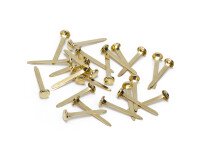 Paper fasteners 30 mm - box of 100