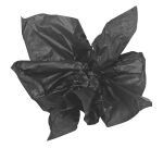 Papier de soie couleur