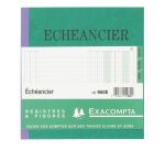 Registre piqûre échéancier 2 colonnes Exacompta 960