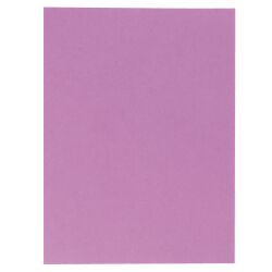 Chemise double poche Rock's Exacompta 24 x 32 cm - Paquet de 25