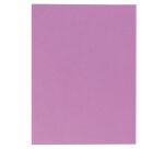 Chemise double poche Rock's Exacompta 24 x 32 cm - Paquet de 25