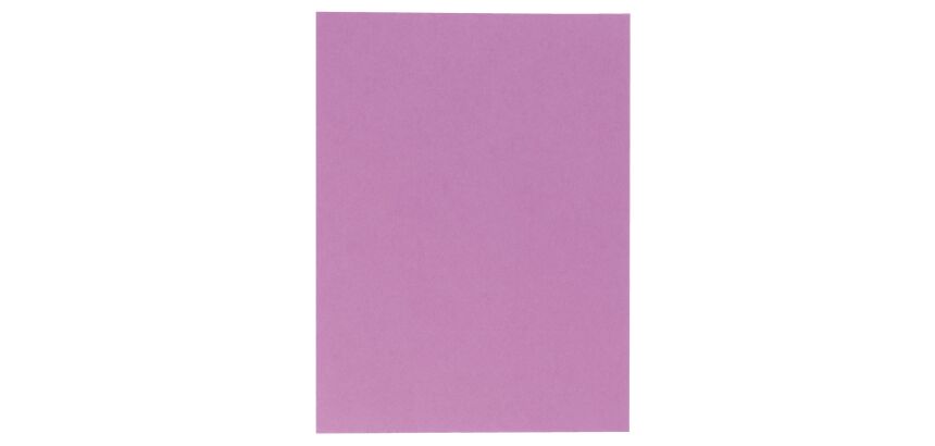 Chemise double poche Rock's Exacompta 24 x 32 cm - Paquet de 25