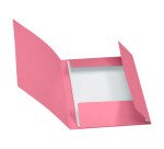 Ordnerhemd 3 Klappen Exacompta 24 x 32 cm - Packung mit 50