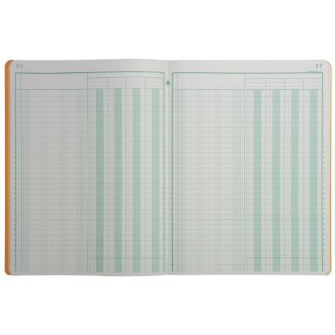 Registre 4 colonnes Exacompta 4040E - 25 x 32 cm 80 pages