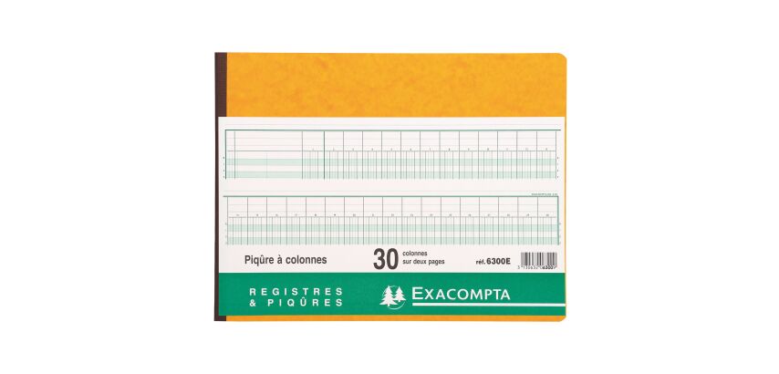 Registre 30 colonnes Exacompta 6300E, 32 x 25 cm 80 pages