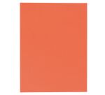 Pak 25 dossiermappen met dubbel hoesje