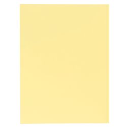 Chemise double poche Rock's Exacompta 24 x 32 cm - Paquet de 25