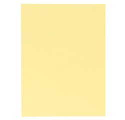 Chemise double poche Rock's Exacompta 24 x 32 cm - Paquet de 25