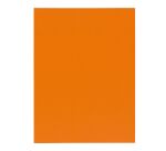 Shirt top quality 210 g Exacompta 24 x 32 cm color - Pack of 100