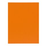 Standard Aktenhülle 210 g Exacompta 24 x 32 cm orange - Paket von 100