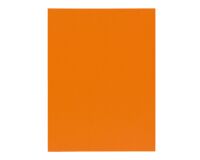 Standard file folder 220 g Exacompta 24 x 32 cm orange - Pack of 100