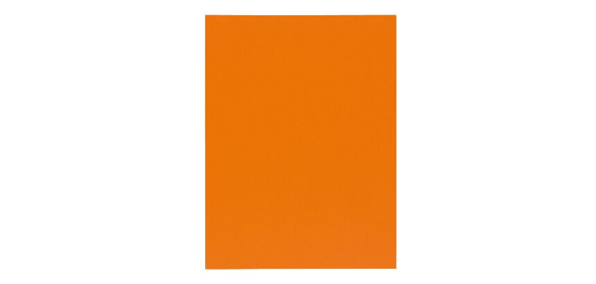 Hemd erstklassige Qualität 210 g Exacompta 24 x 32 cm Farbe - Packung mit 100