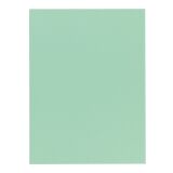 Standard file folder 220 g Exacompta 24 x 32 cm green - Pack of 100