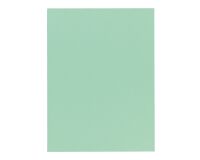 Chemise qualité supérieure 210 g Exacompta 24 x 32 cm couleur vert - Paquet de 100