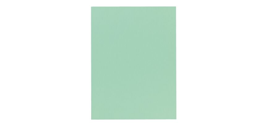 Shirt top quality 210 g Exacompta 24 x 32 cm color - Pack of 100