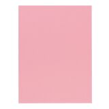 Standard file folder 220 g Exacompta 24 x 32 cm pink - Pack of 100