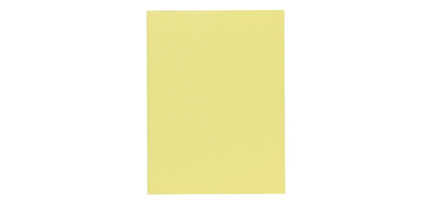 Mapje superieure kwaliteit 210 g Exacompta 24 x 32 cm kleur - Pakket van 100