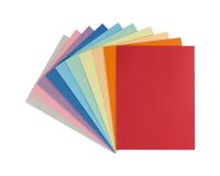 Subcarpetas a color Exacompta de 24 x 32 cm de calidad prémium, 210 g, paquete de 100