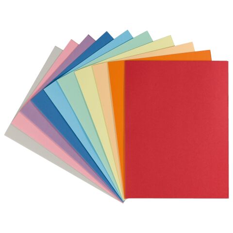 Subcarpetas a color Exacompta de 24 x 32 cm de calidad prémium, 210 g, paquete de 100 surtidos