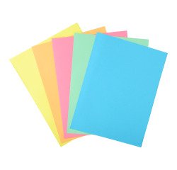 Subcarpetas de cartulina 1 solapa 210 g A4 colores pastel Exacompta Paquete de 50