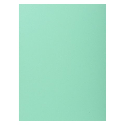 Subcarpetas de cartulina 1 solapa 210 g A4 colores pastel Exacompta Paquete de 50 verde