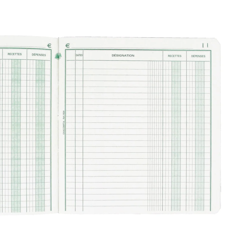 Exacompta Piqûre de 80 pages recettes/dépenses format 32 x 19,5 cm