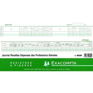 EXACOMPTA Piqûre 25x38cm - Journal des Recettes Dépenses des