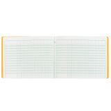 Registre piqûre 11 colonnes Exacompta 6110