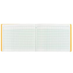 Registre 11 colonnes Exacompta 6110E, 32 x 25 cm 80 pages