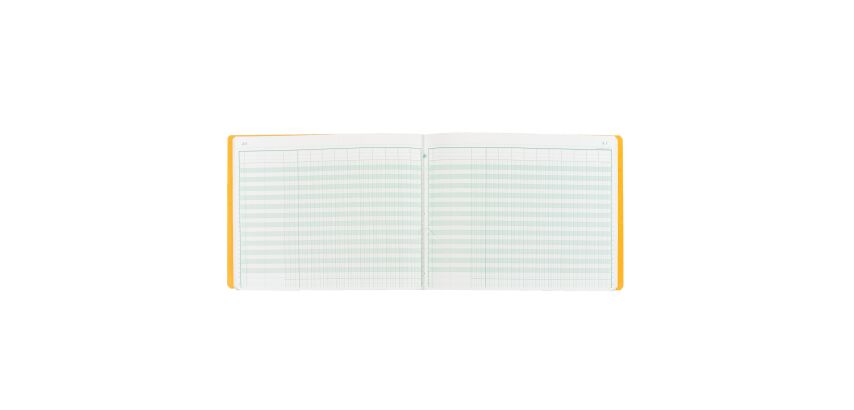Registre 11 colonnes Exacompta 6110E, 32 x 25 cm 80 pages