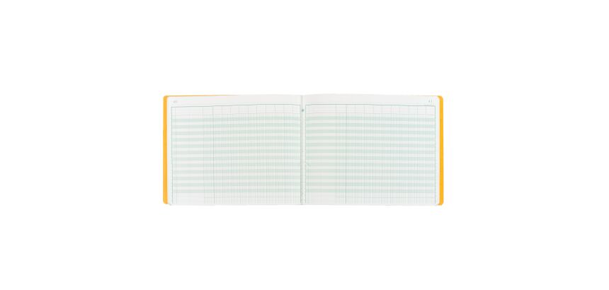 Registre piqûre 11 colonnes Exacompta 6110