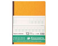 Registre Exacompta 4130 piqûre 13 colonnes