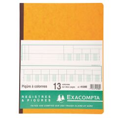 Registre Exacompta 4130 piqûre 13 colonnes