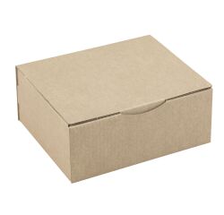 Paq. 50 Cajas postal marrón 25 x 20 x 10 cm