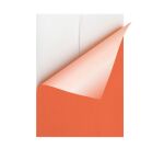 Etiquette jet d'encre et laser 210 x 297 mm couleur vive - Boîte de 100