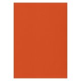 Etiquettes couleurs 210 x 297 mm - Boîte de 100
