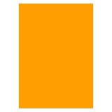 Étiquettes fluo 210 x 297 mm - Boîte de 100
