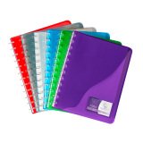 Protège-documents Viquel Géode polypropylène translucide A4 30 pochettes - 60 vues couleurs assorties