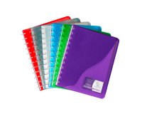 Protège-documents Viquel Géode polypropylène translucide A4 30 pochettes - 60 vues couleurs assorties