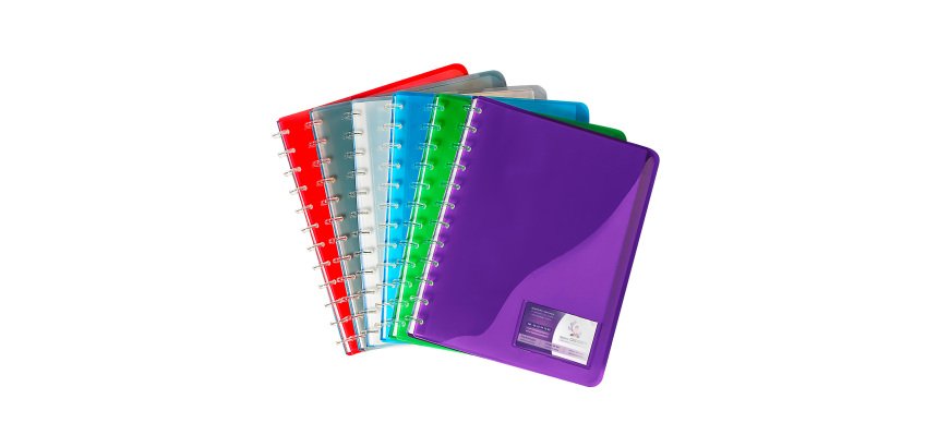 Protège-documents Viquel Géode polypropylène translucide A4 30 pochettes - 60 vues couleurs assorties