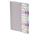 Trieur plastique Viquel à rabat 12 divisions couleurs assorties