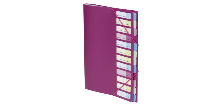Plastic sorter Viquel with flap 12 divisions assorted colours
