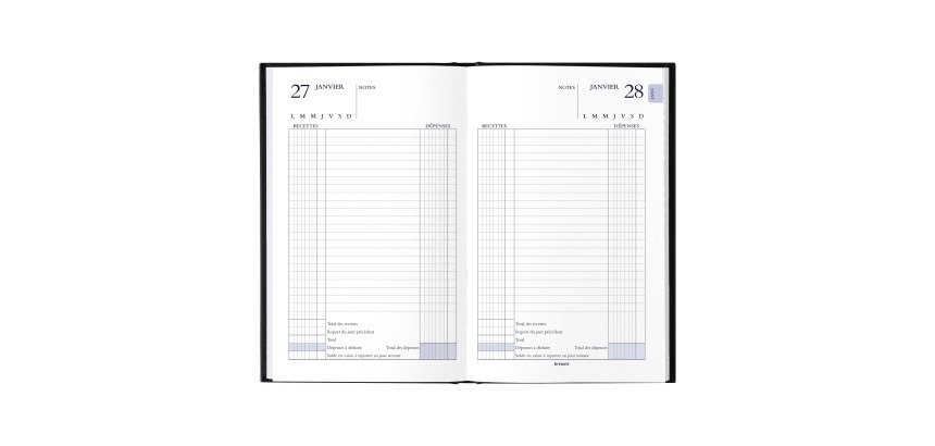 Agenda carré Perpétuel Recette-Dépense journalier - 21,4 x 14 cm