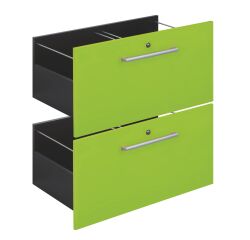 Set 2 laden voor Biblicase kiwi