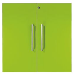 Lot de 2 portes couleur L 39.5 x H 79.5 cm pour bibliothèque Biblicase