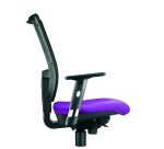 Paire d'accoudoirs 1D réglables pour chaise Webstar