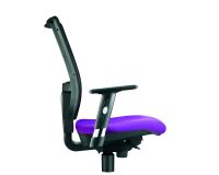 Paire d'accoudoirs réglables 1D pour chaise Nao