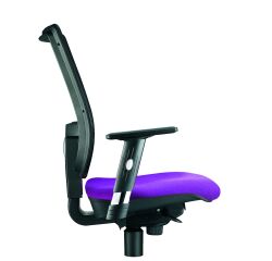 Paire d'accoudoirs réglables 1D pour chaise Nao