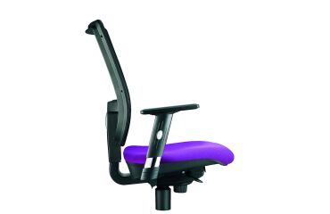 Paire d'accoudoirs réglables 1D pour chaise Nao