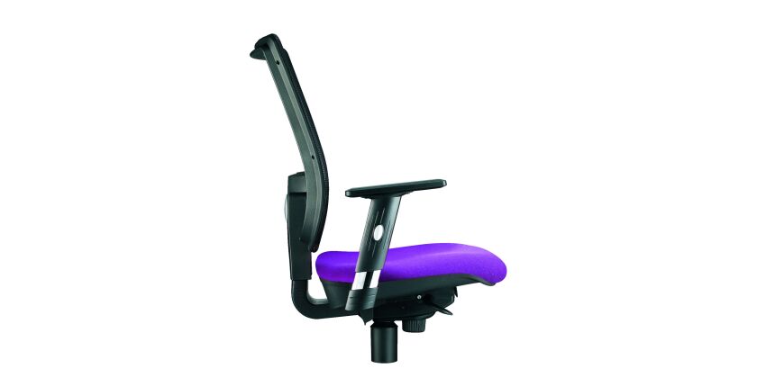 Paire d'accoudoirs réglables 1D pour chaise Nao